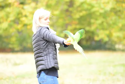 DSC_0497 (Large).JPG